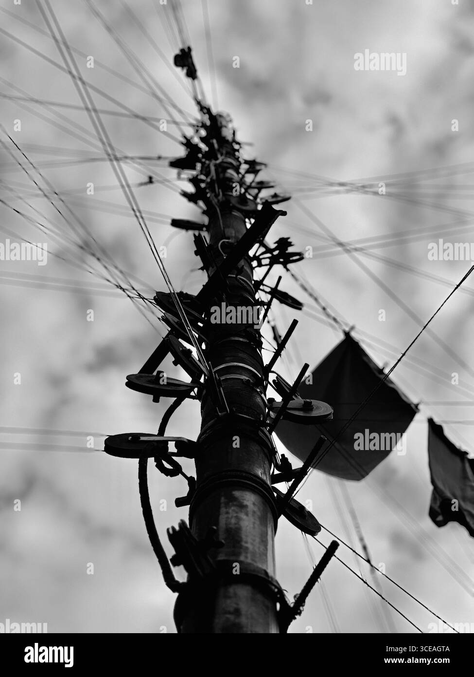 Dies ist ein auffälliges Schwarzweißfoto mit hohem Kontrast, das einen ungewöhnlichen Anblick einfängt. Die Kamera blickt auf einen Versorgungsmast, aber statt t - Smartphone-aufgenommenes Stockfoto