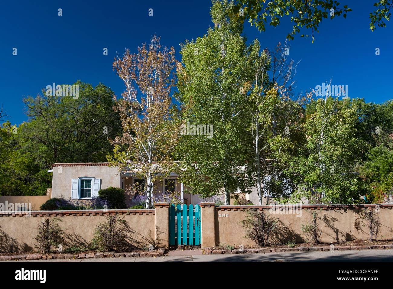 Beben Aspen Bäume vor adobe Haus auf Osten Alameda Street, Santa Fe, Santa Fe County, New Mexico, USA Stockfoto