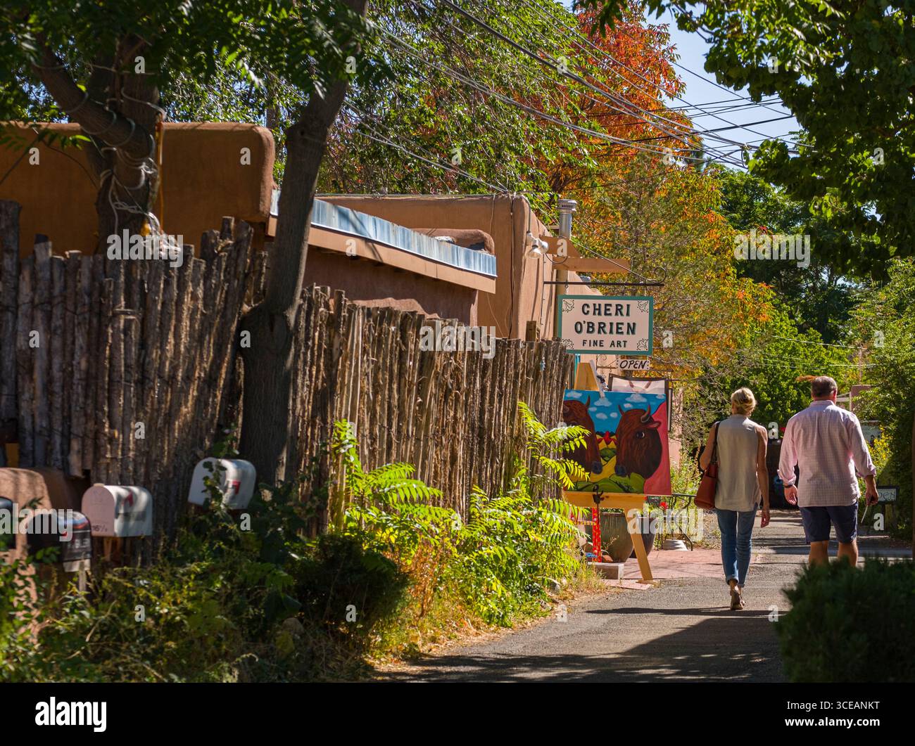 Cheri O’Brien Gallery, Santa Fe, Santa Fe County, New Mexico, USA Stockfoto