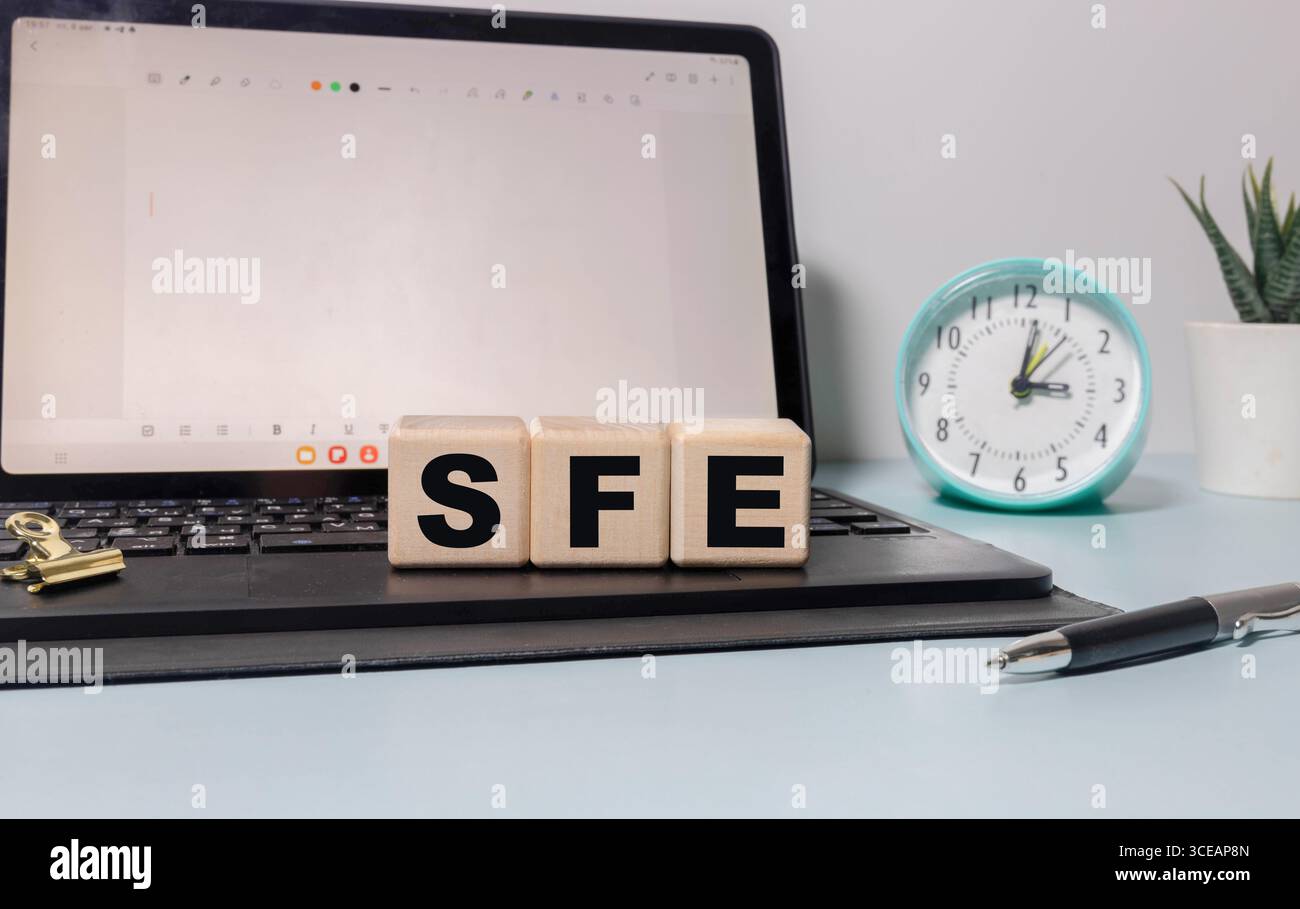 SFE-Text als Symbol auf würfelförmigen Holzblöcken, hellblauer Hintergrund Stockfoto