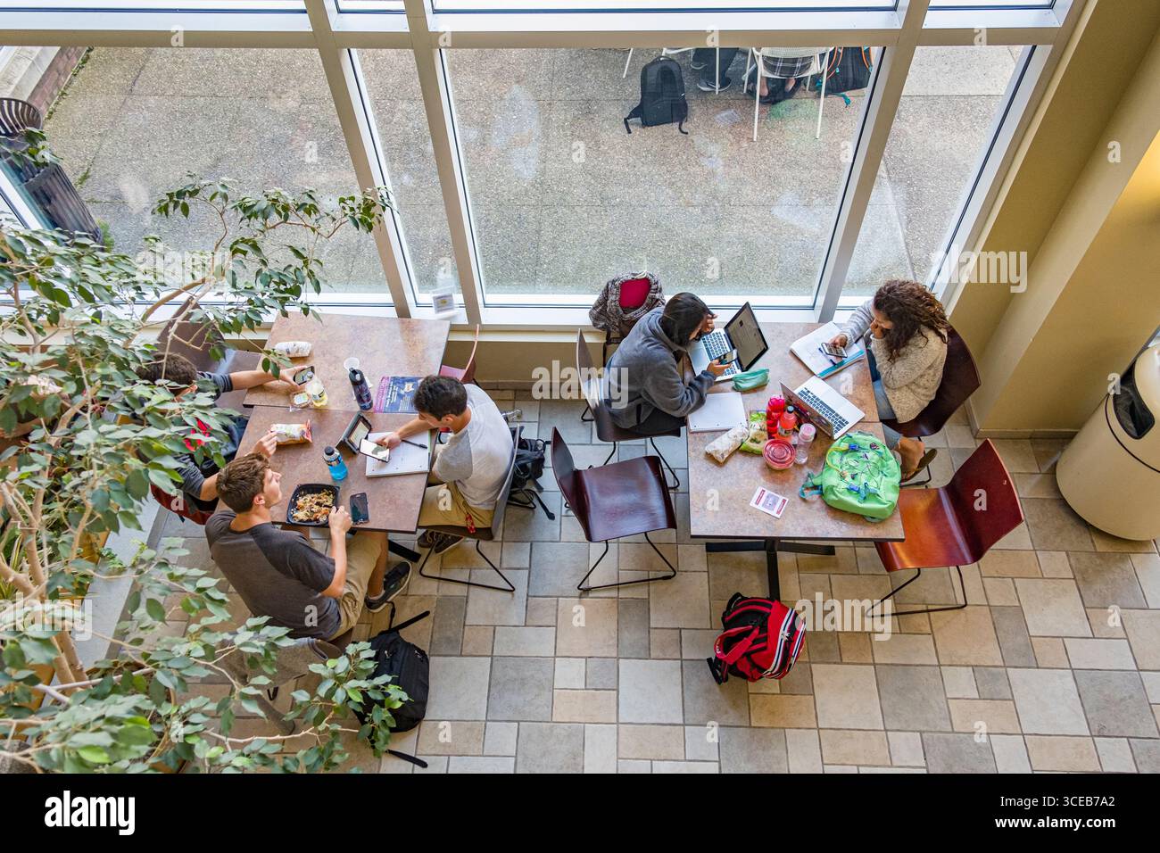 Studenten sitzen an Tischen studieren und Essen im Rubin Campus Food Court auf der ersten Etage des Rubin Campus Center auf dem Campus der Wor Stockfoto