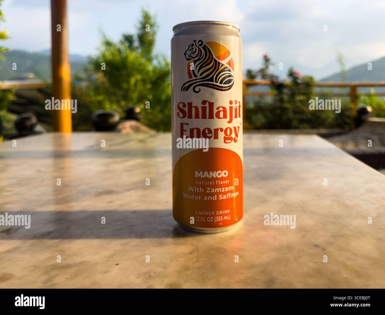 Nahansicht einer Shilajit Energy Drink Dose Stockfoto