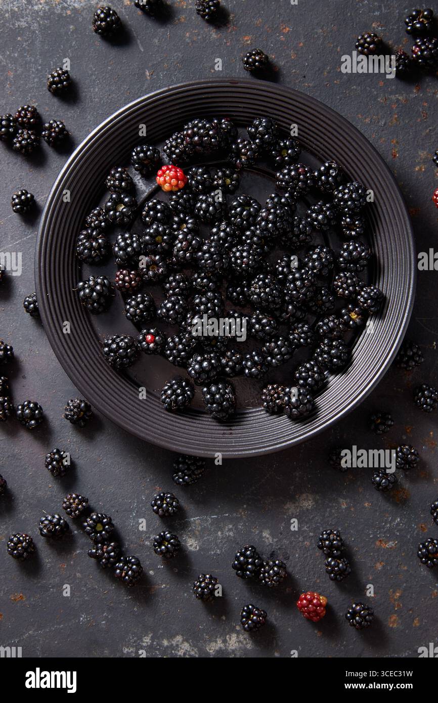 Ein Teller mit frisch gepflückten Brombeeren Stockfoto