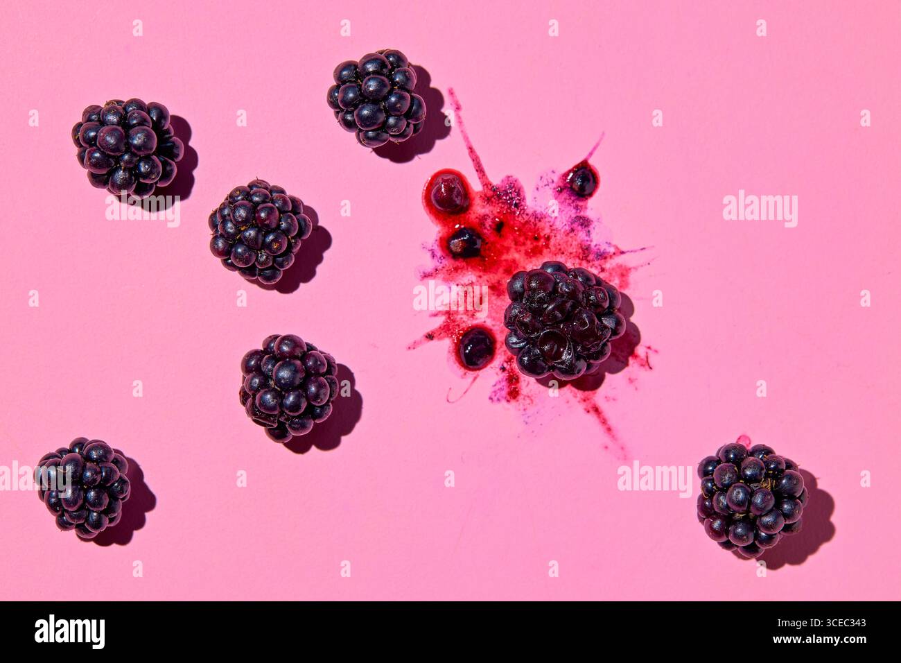 Zerschmetterte brombeere mit Saft und ganze Brombeeren daneben auf rosa Hintergrund Stockfoto
