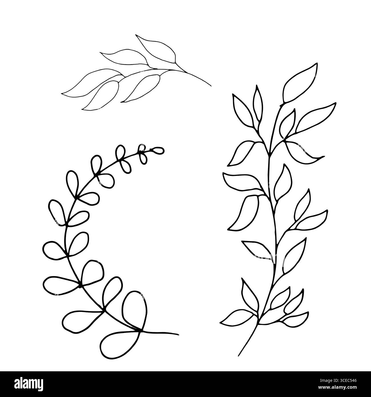 Ein Zweig mit feinen dünnen Blättern, skizzieren Sie in einem einfachen Stil. Vektorabbildung. Die Zweige eines Oliven- und Weidenbaums sind auf weiß isoliert Stock Vektor
