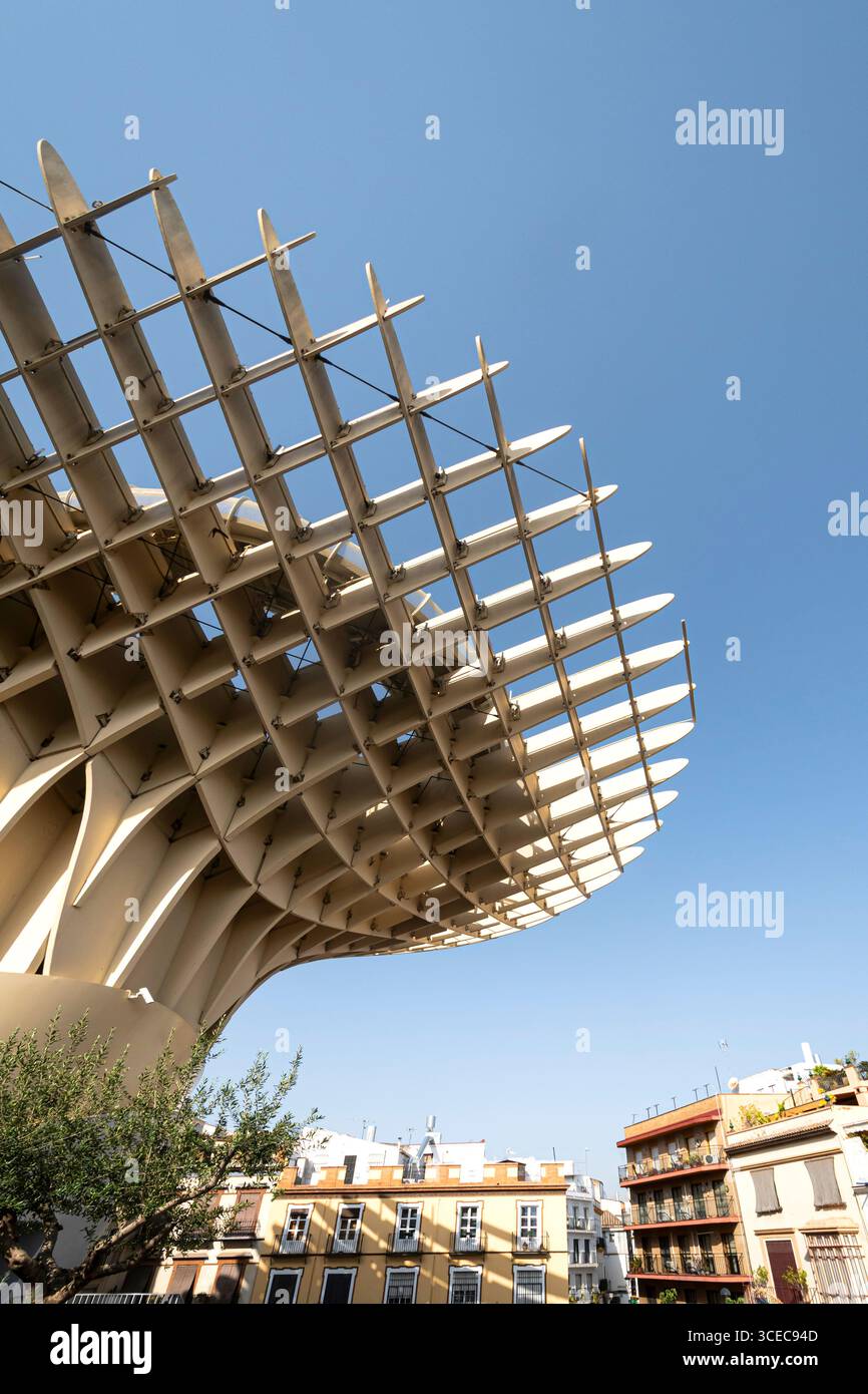 Metropol Parasol, auch bekannt als Las Setas de Sevilla, entworfen von Jürgen Mayer, Plaza de la Encarnación, Andalusien, Spanien Stockfoto