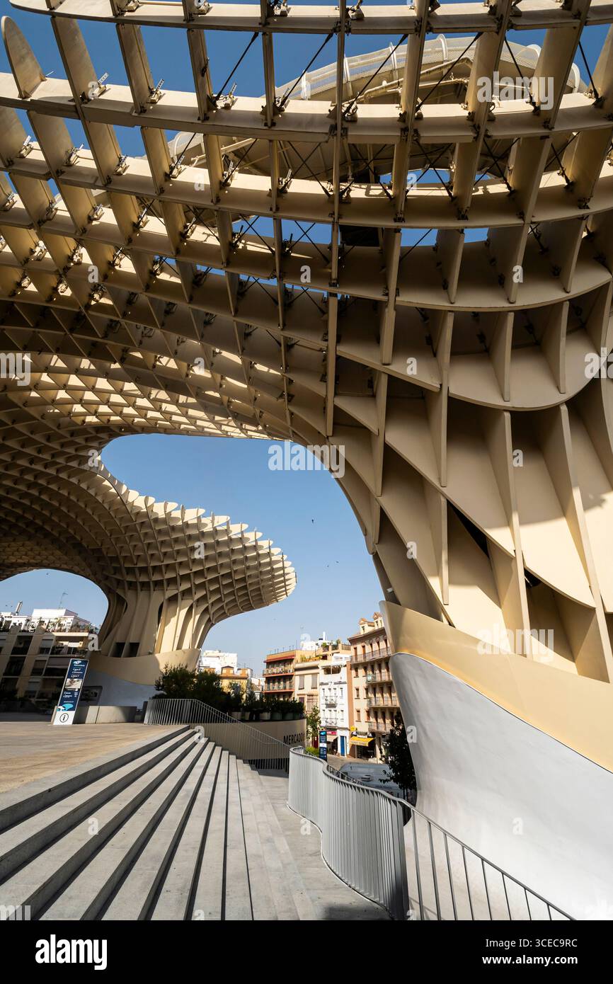 Metropol Parasol, auch bekannt als Las Setas de Sevilla, entworfen von Jürgen Mayer, Plaza de la Encarnación, Andalusien, Spanien Stockfoto