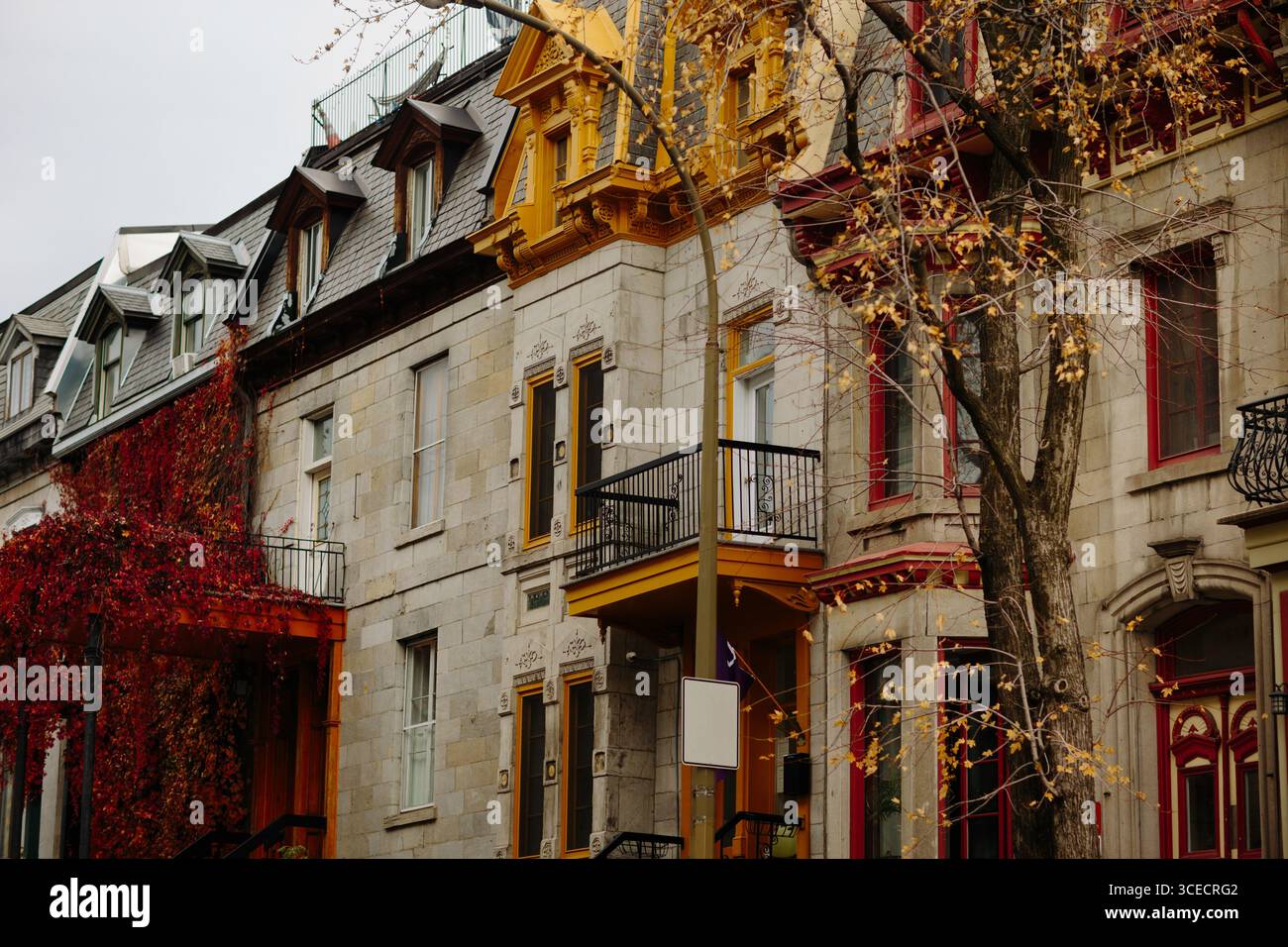 Entdecken Sie Montreals pulsierende städtische Architektur im Herbst. Die Szene zeigt farbenfrohe Reihenhäuser mit Laub, die ein warmes, einladendes Herbst-atmos schaffen Stockfoto