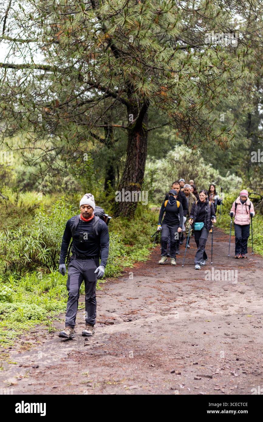 Eine Gruppe von Wanderern, ausgestattet mit Trekkingstöcken und Rucksäcken, spaziert an einem kühlen Tag entlang eines üppigen Waldwegs. Die Szene fängt das Wesen des Outdoor ein Stockfoto
