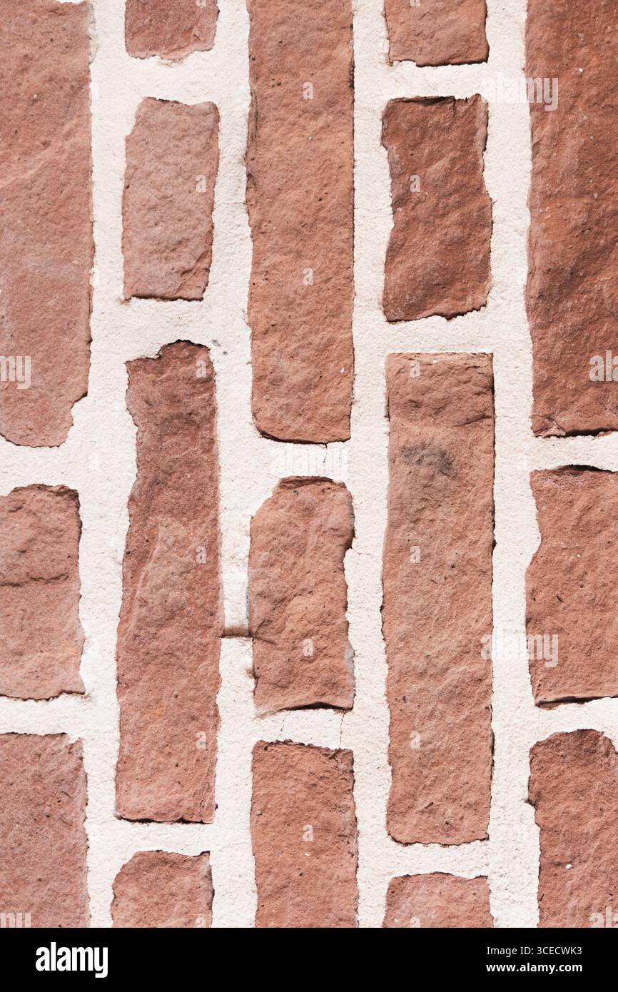 Ein Nahaufnahme-Bild mit einer strukturierten roten Ziegelwand mit sichtbaren Mörtellinien. Die raue Oberfläche hebt die komplizierten Details und Muster des s hervor Stockfoto