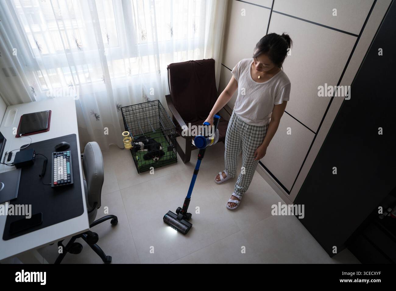 Eine Frau saugt effizient den Boden eines aufgeräumten Heimbüros auf. Sie verfügt über einen Computertisch und einen kleinen Haustierbereich am Fenster, um einen sauberen und organischen Zustand zu gewährleisten Stockfoto