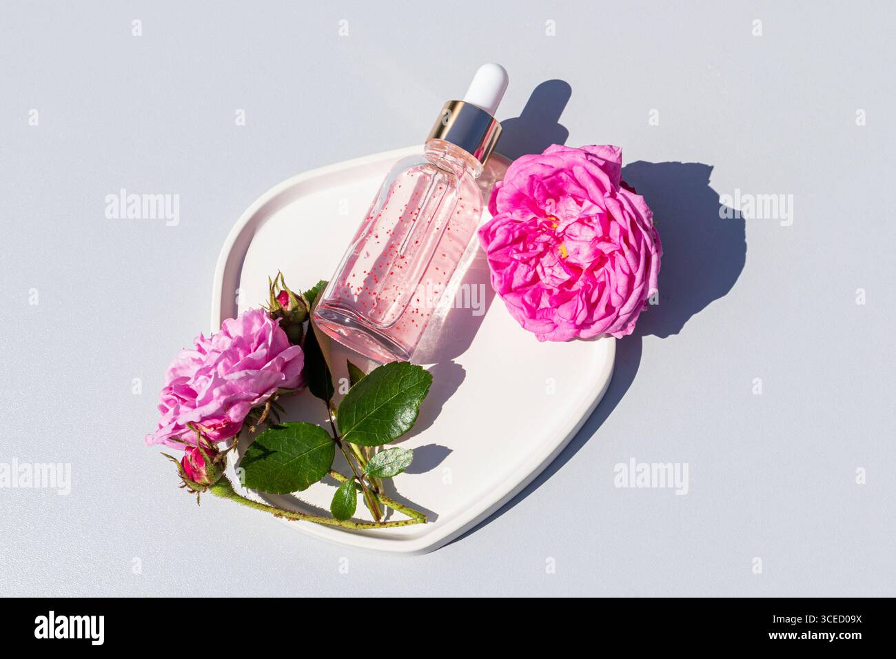 Blick von oben auf eine durchsichtige Tropfflasche mit Rosenöl-Serum, umgeben von leuchtenden rosa Rosen auf einer weißen Platte. Der sanfte graue Hintergrund verleiht der Eleganz Stockfoto