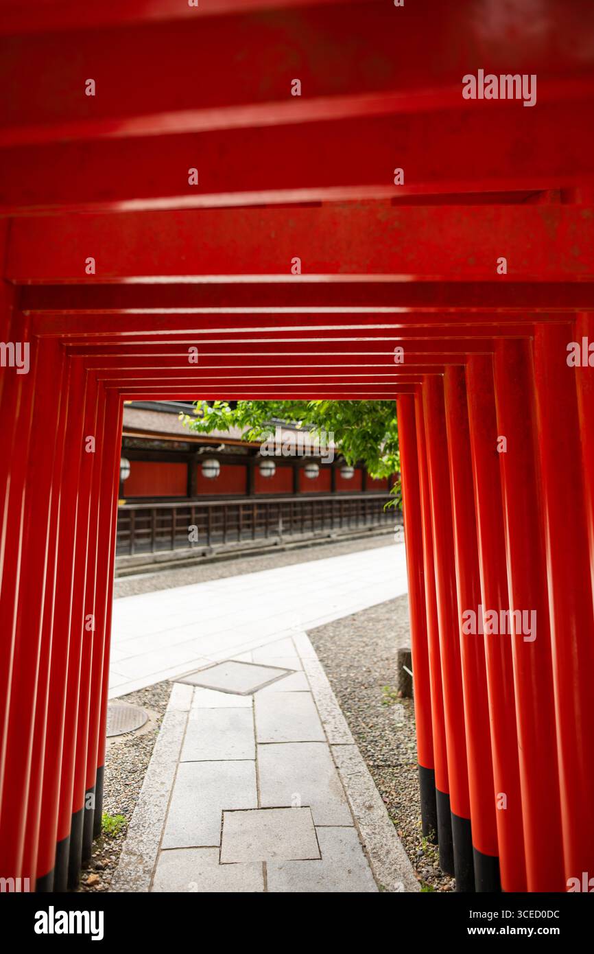 Majestätischer Blick durch die lebendige rote Torii-Passage am Kitano Tenmangu-Schrein in Kyoto, Japan, mit traditioneller japanischer Architektur und Kultur Stockfoto
