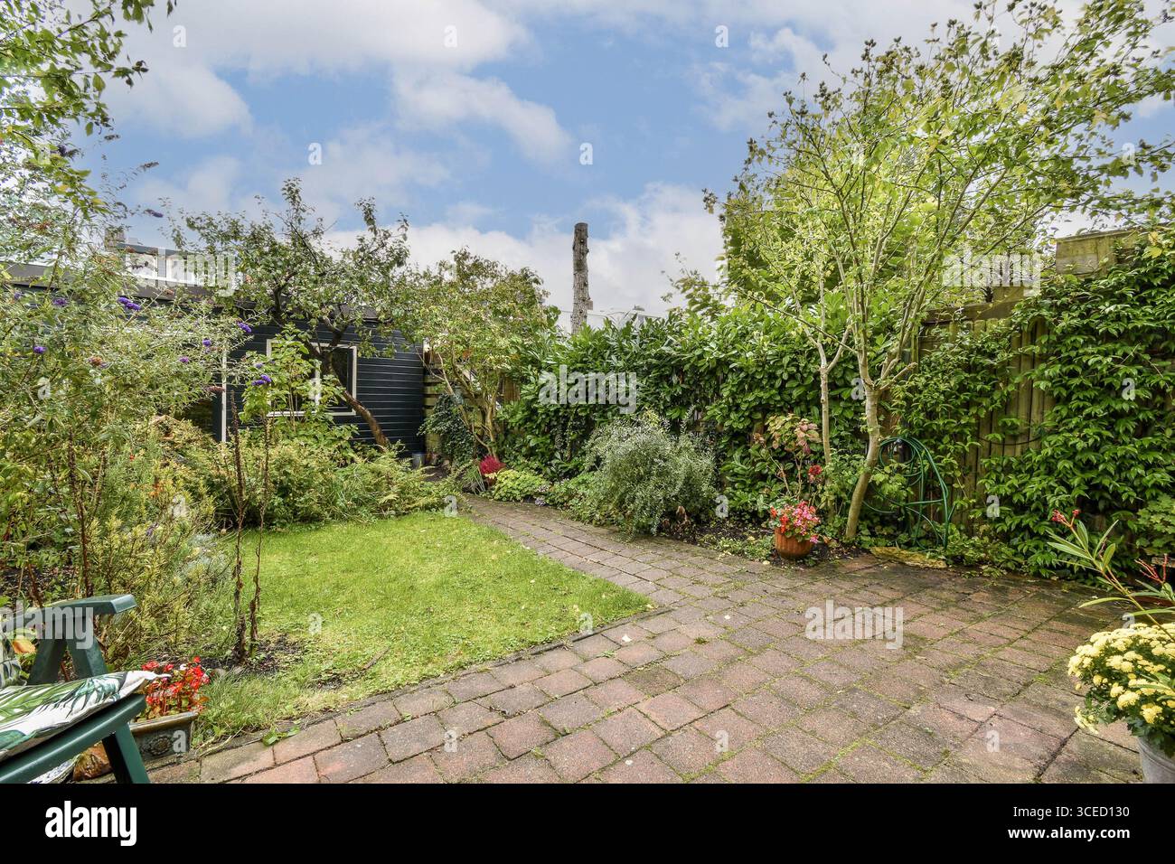 Eine üppige Gartenszene mit einem gepflasterten Weg umgeben von lebendigen Pflanzen und Bäumen. Die ruhige Umgebung ist perfekt zum Entspannen mit einladenden Stockfoto