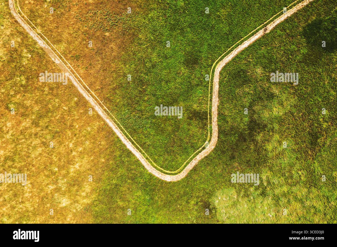 Spuren in unbebauten Wiesen, Luftaufnahme von Drohnen-pov, direkt darüber Stockfoto