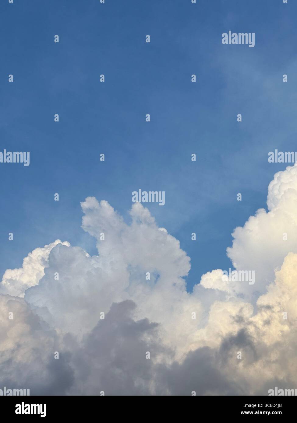 Aufgenommen von ww - Smartphone-aufgenommenes Stockfoto