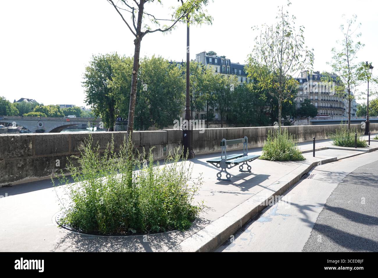 Paris, Quai aux Fleurs, Begrünung // Paris, Quai aux Fleurs, Grün Stockfoto