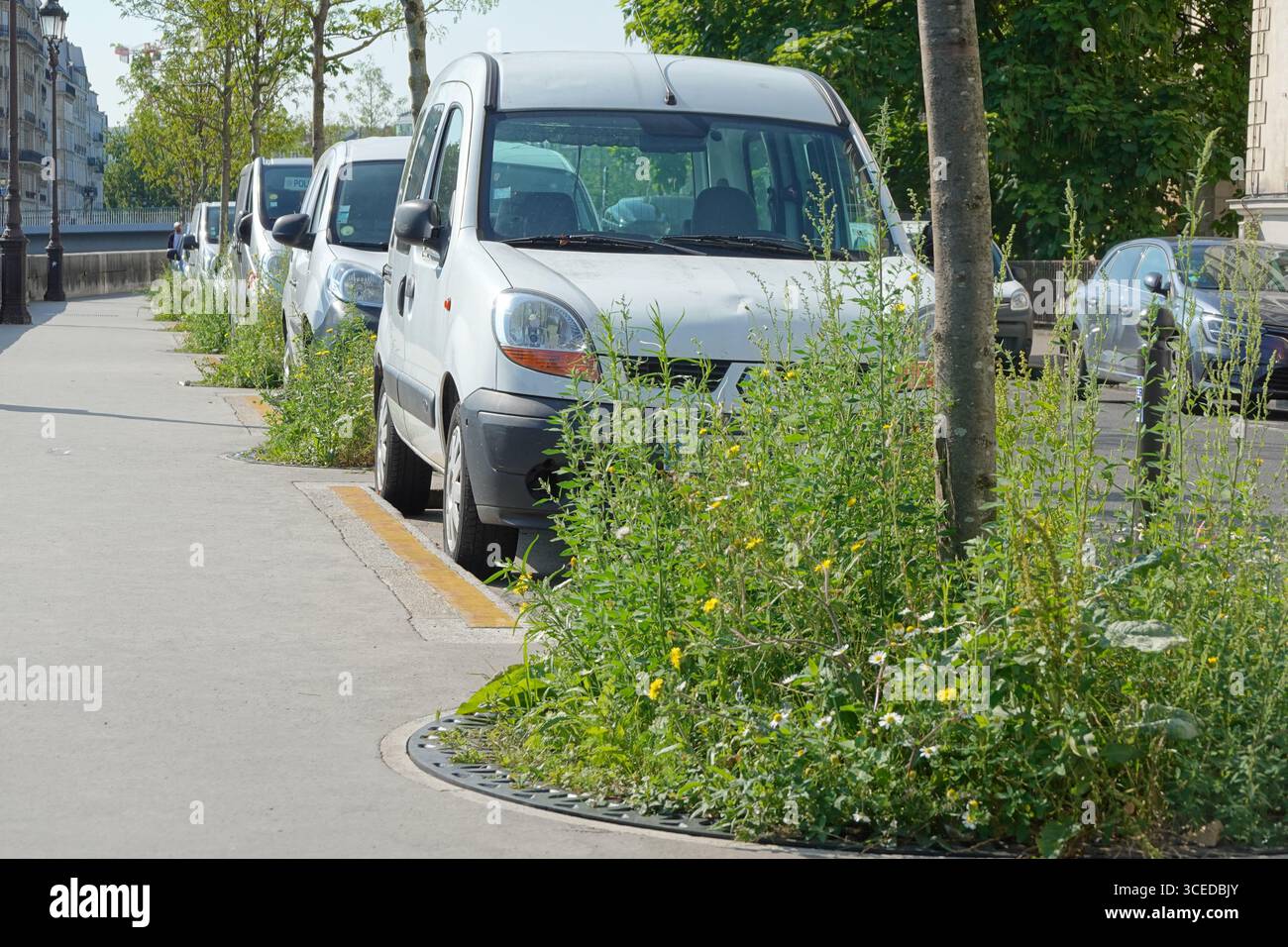 Paris, Quai aux Fleurs, Begrünung // Paris, Quai aux Fleurs, Grün Stockfoto