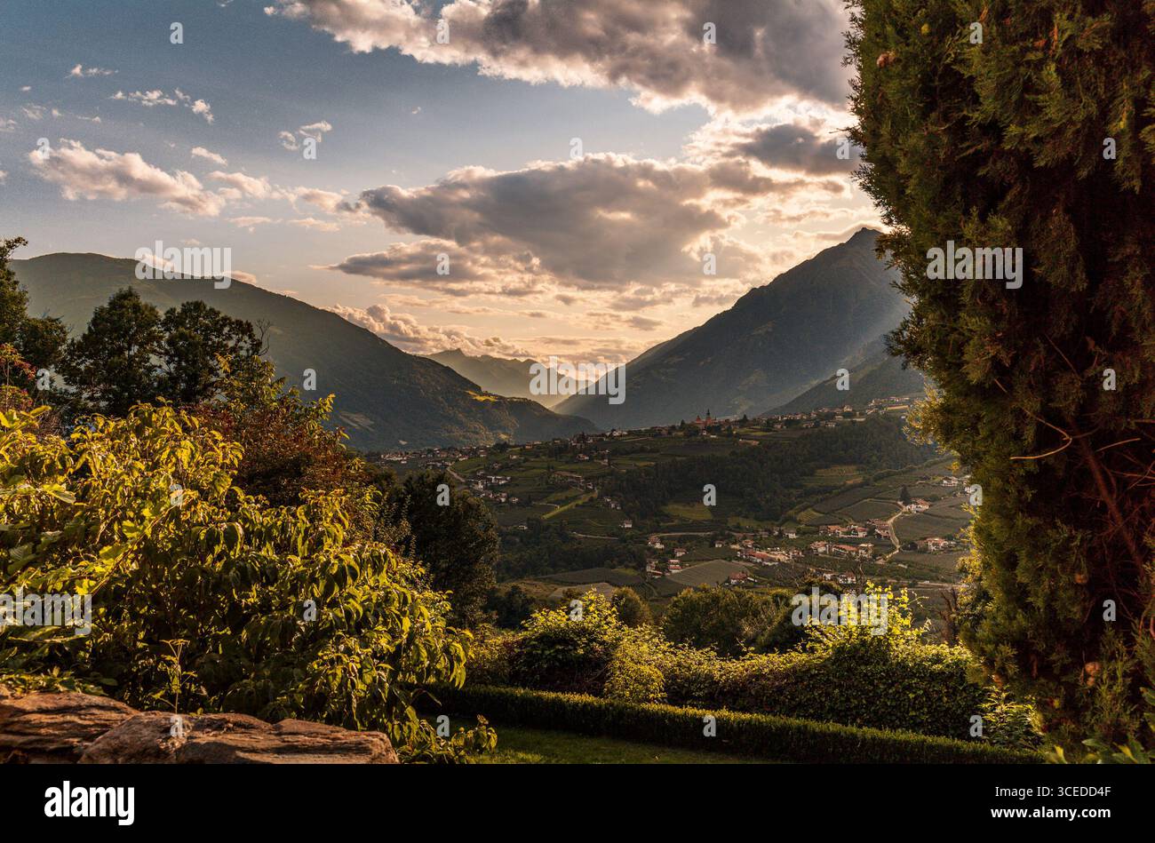 Blick auf Dorf Tirol in Italien am späten Nachmittag mit Apfelplanken und Weinbergen Stockfoto