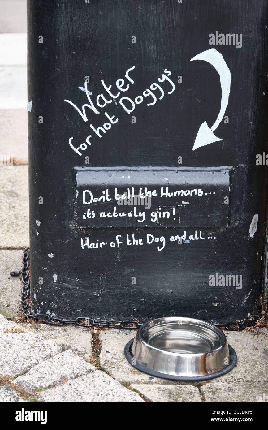 Humorvolles Schild auf einer Stange mit Hundewasserschale, das eine verspielte Botschaft über „Gin“ für Hunde bietet, befindet sich auf einem strukturierten Steinpflaster Stockfoto