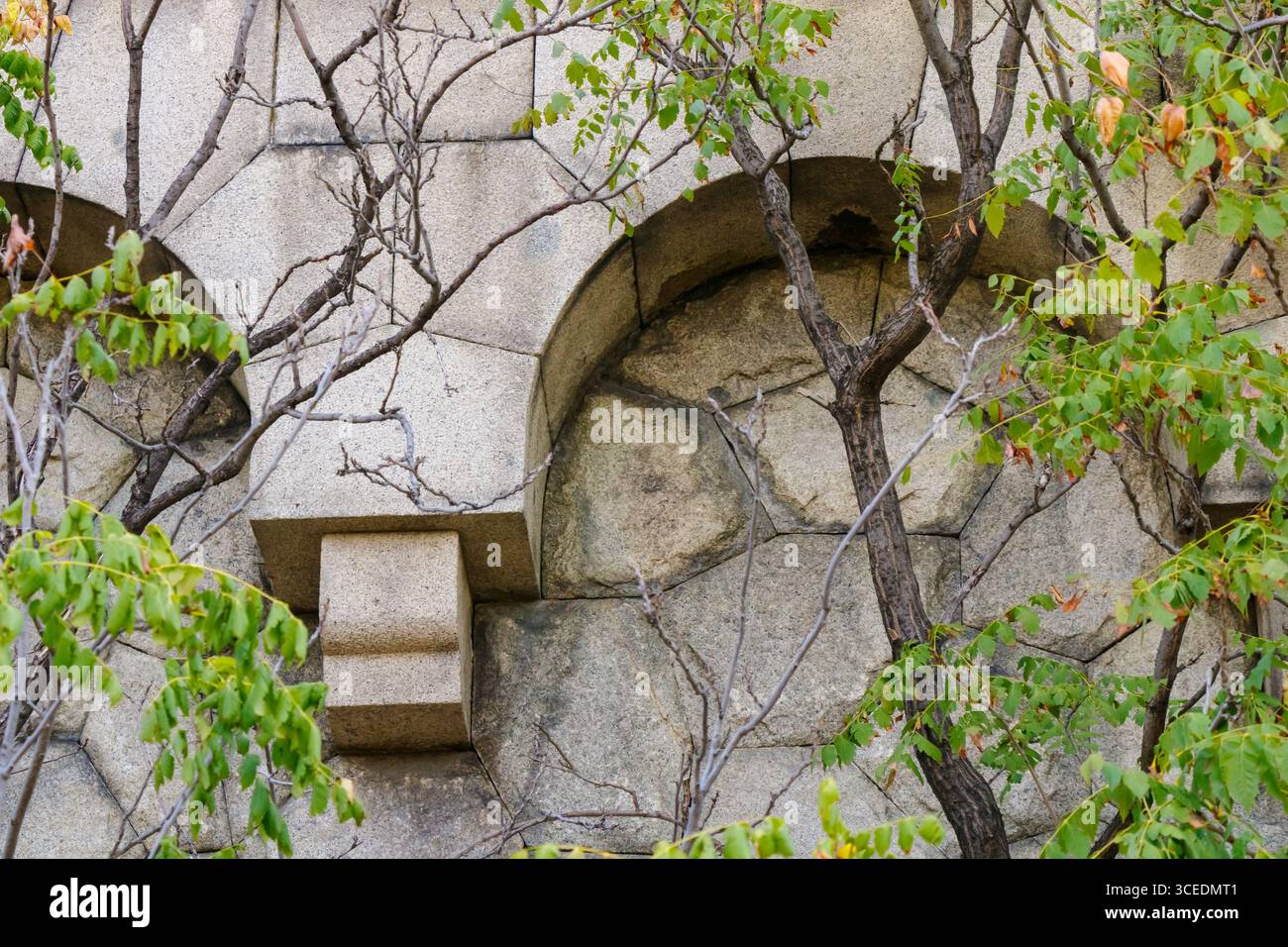 Komplizierte Details verwitterter Steinstrukturen werden teilweise durch leuchtendes grünes Laub verdeckt. Das Zusammenspiel von Natur und architektonischen Elementen Stockfoto