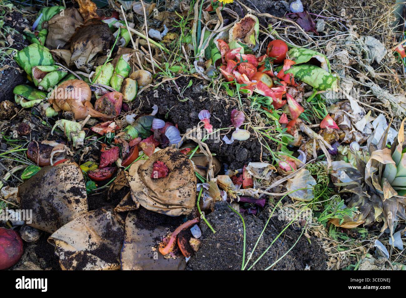 Ein Komposthaufen mit Essensresten, Gemüseschalen, Kaffeefiltern und Erde. Organisches Recycling im Garten hilft, Abfall zu reduzieren und natürliches fert zu erzeugen Stockfoto