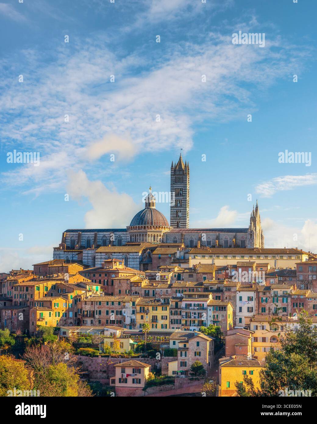 Skyline von Siena. Auf der Spitze der Kathedrale, auch bekannt als Duomo di Siena. Toskana, Italien Stockfoto