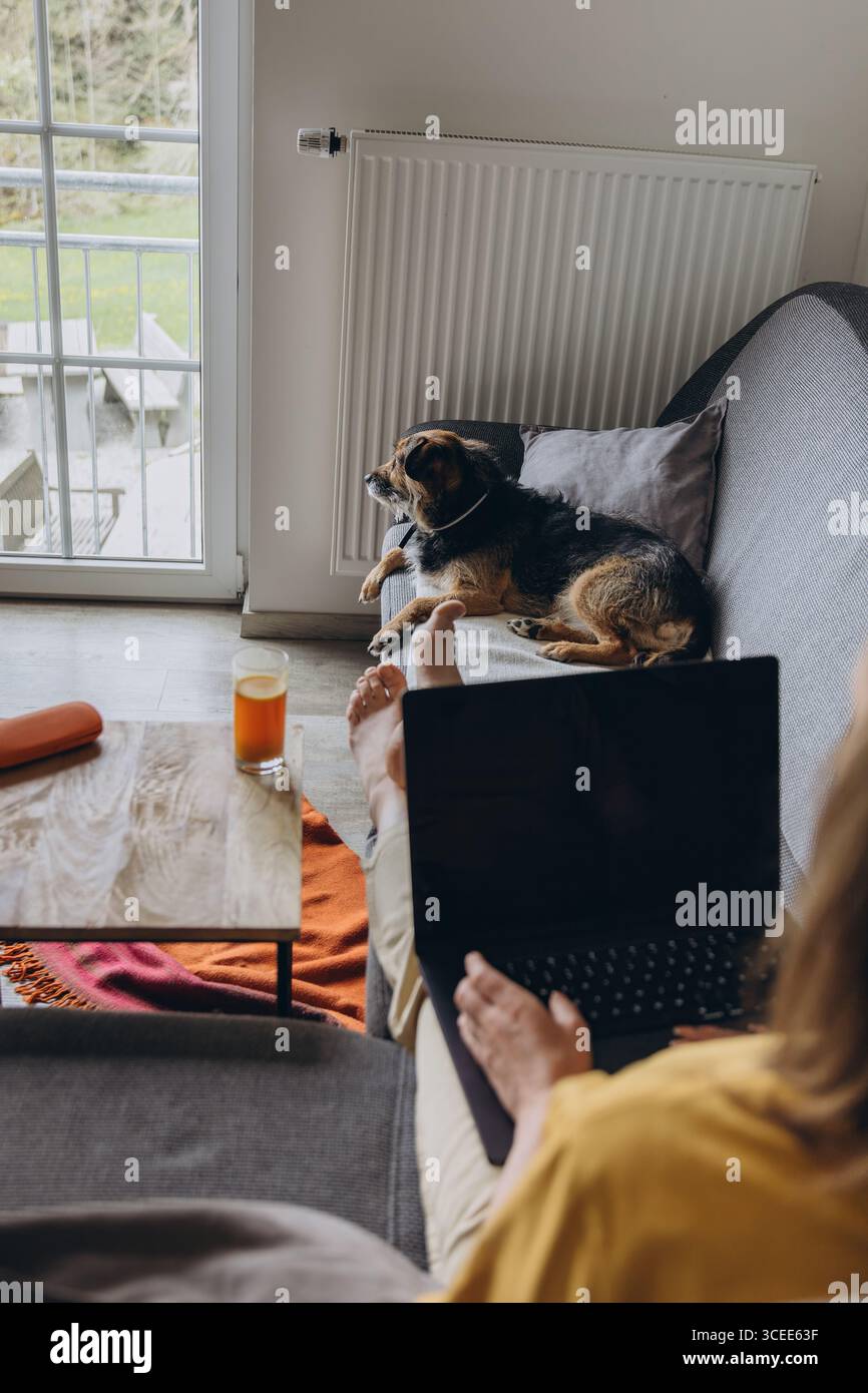 Gemischter Rettungshund, der aus dem Fenster schaut, während der Besitzer aus der Ferne am Laptop arbeitet. Gemütliche Heimszene, die sich mit Haustieren und moderner freiberuflicher Lebensweise verbindet Stockfoto