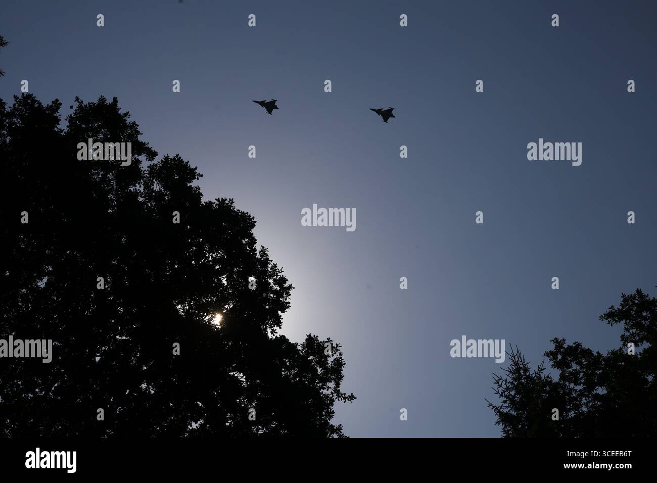 Zwei Saab JAS 39 Gripen-Jets fliegen in Formation über Baumkronen mit Sonnenstrahlen, die durch Laub dringen Stockfoto