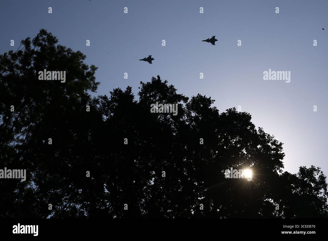 Zwei Saab JAS 39 Gripen-Jets fliegen in Silhouette über Bäume vor klarem, sonnigem Himmel Stockfoto