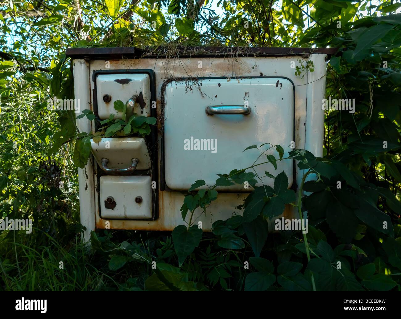 Ein alter Retro-Ofen, der von Pflanzen bewachsen ist, in einer wilden Umgebung, in der Verderbnis, Nostalgie und Naturerholung zu sehen sind. Stockfoto Ein alter Retro-Ofen, der von Pflanzen bewachsen ist, in einer wilden Umgebung, in der Verderbnis, Nostalgie und Naturerholung zu sehen sind. Stockfoto