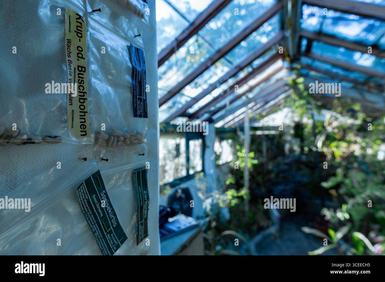 Saatgut lagerung -Fotos und -Bildmaterial in hoher Auflsung  Alamy