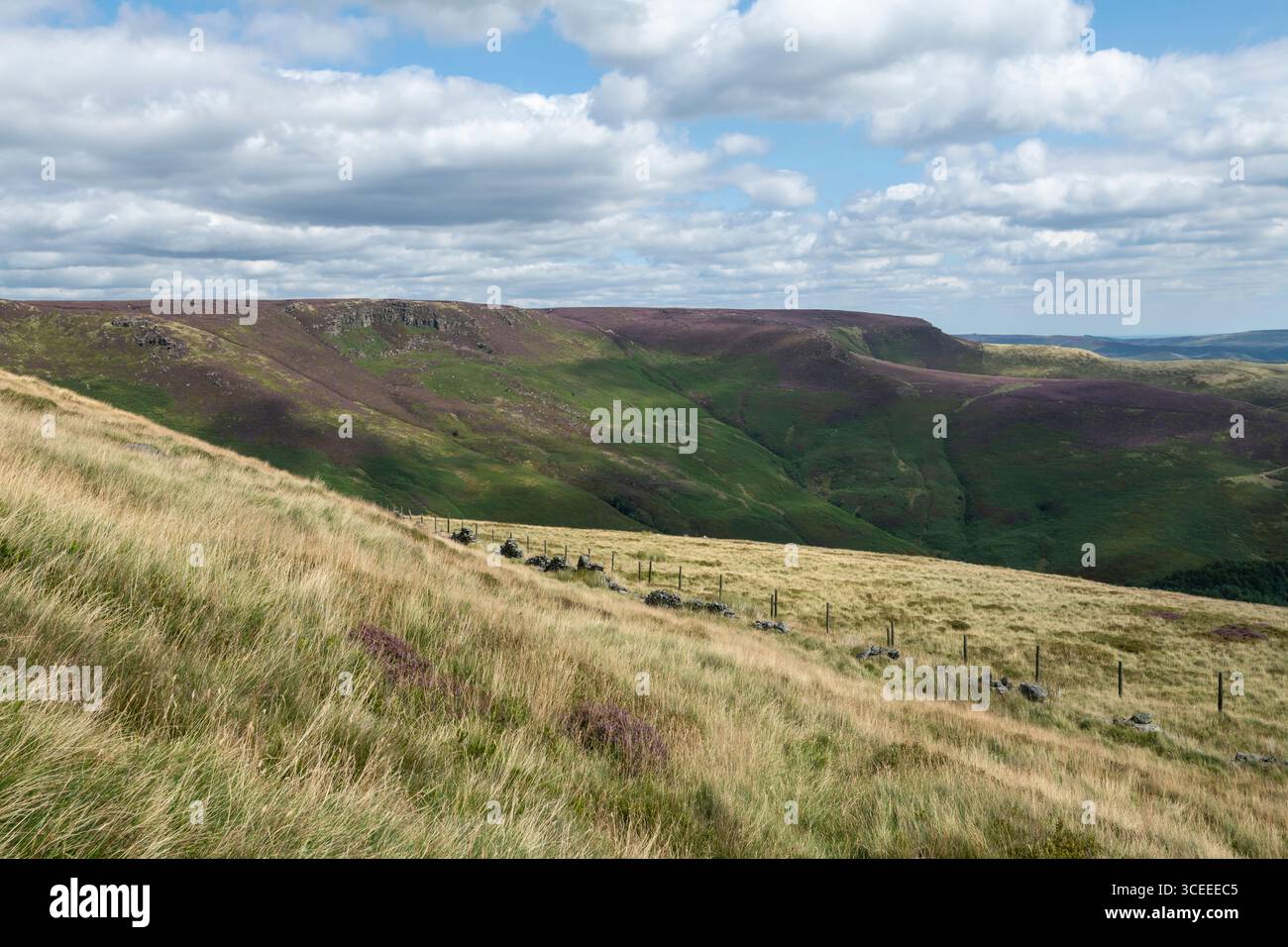 Ein sonniger Sommertag in den Hügeln rund um Edale im Peak District Nationalpark in Derbyshire, England. Stockfoto