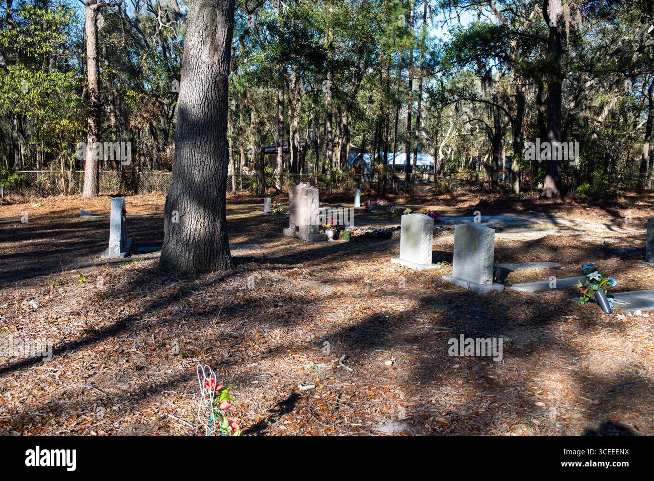 Das Grab des berühmten Autors Pat Conroy befindet sich in den Saint Helena Memorial Gardens am Ernest Drive auf Saint Helena Island, South Carolina. Stockfoto