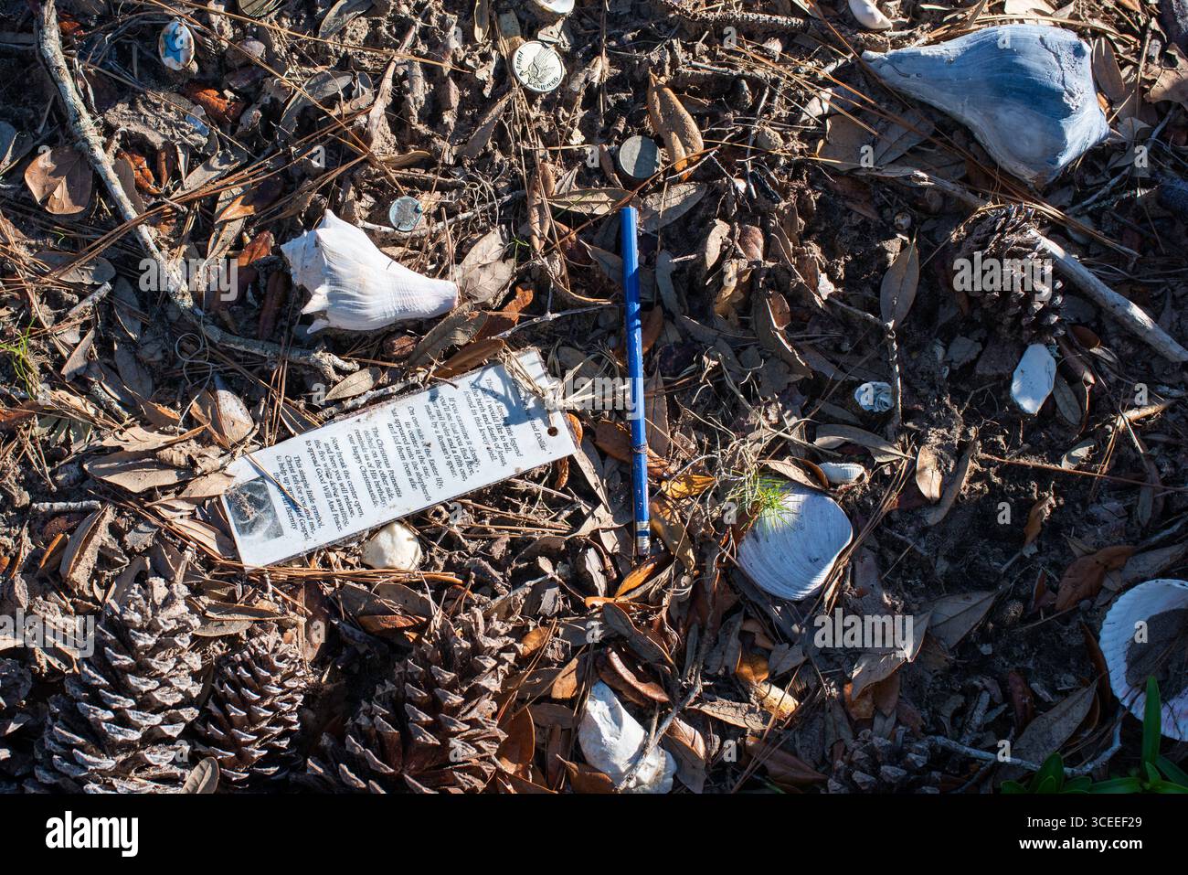 Das Grab des berühmten Autors Pat Conroy befindet sich in den Saint Helena Memorial Gardens am Ernest Drive auf Saint Helena Island, South Carolina. Stockfoto