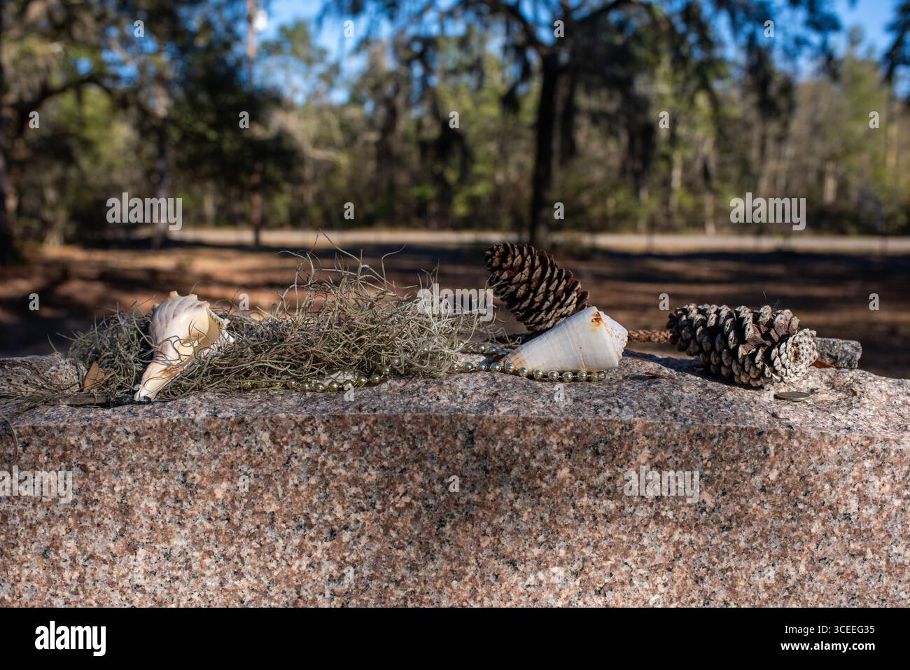 Das Grab des berühmten Autors Pat Conroy befindet sich in den Saint Helena Memorial Gardens am Ernest Drive auf Saint Helena Island, South Carolina. Stockfoto