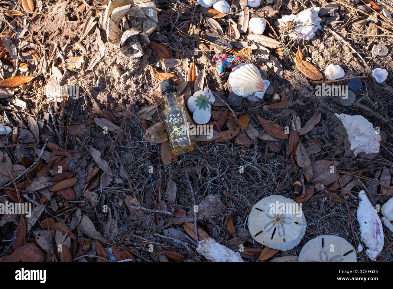 Das Grab des berühmten Autors Pat Conroy befindet sich in den Saint Helena Memorial Gardens am Ernest Drive auf Saint Helena Island, South Carolina. Stockfoto