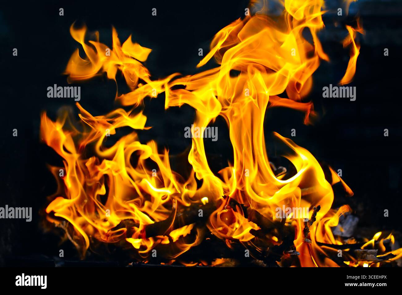 Feuer Flammen auf schwarzem Hintergrund. Stockfoto