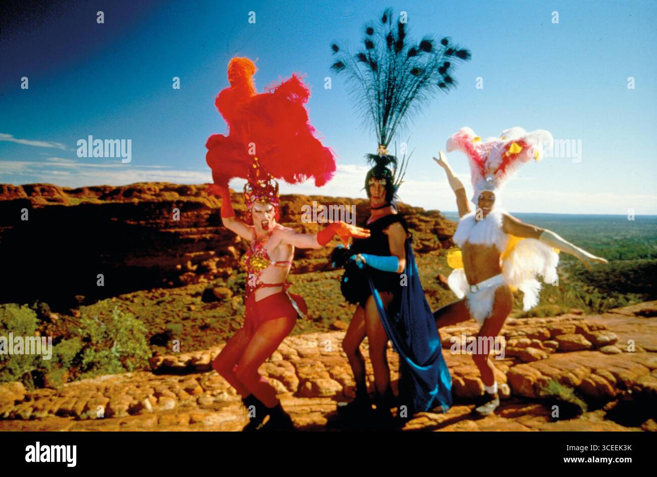 Terence Stamp, Guy Pearce und Hugo Weaving the Adventures of Priscilla, Queen of the Desert (1994) *Filmstill - nur redaktionelle Verwendung* CAP/RFS Image su Stockfoto