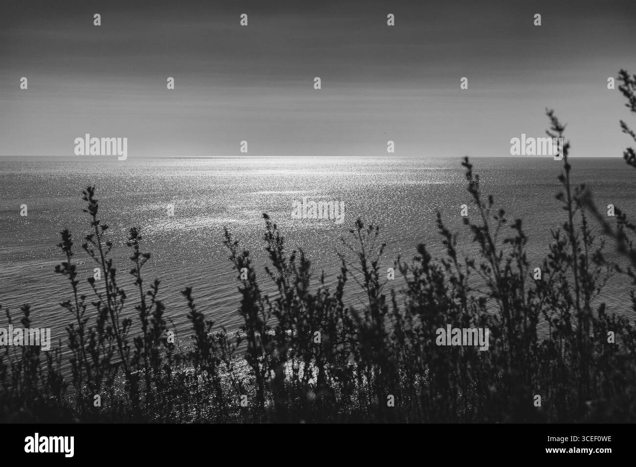 Landschaft eines schönen ruhigen Meeres Stockfoto
