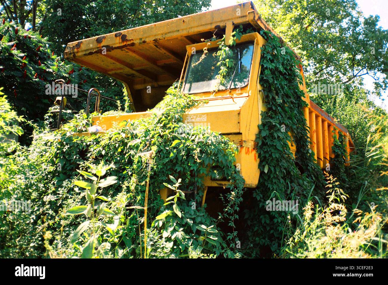 Abgebrochene Dump Truck Stockfoto