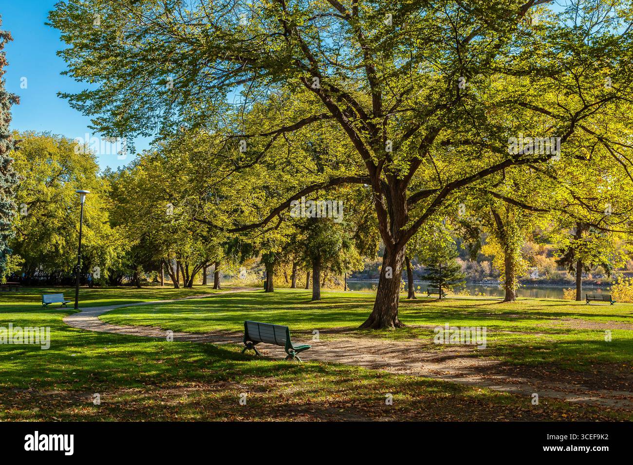 Der Kiwanis Memorial Park befindet sich im zentralen Geschäftsviertel (Downtown) von Saskatoon. Stockfoto