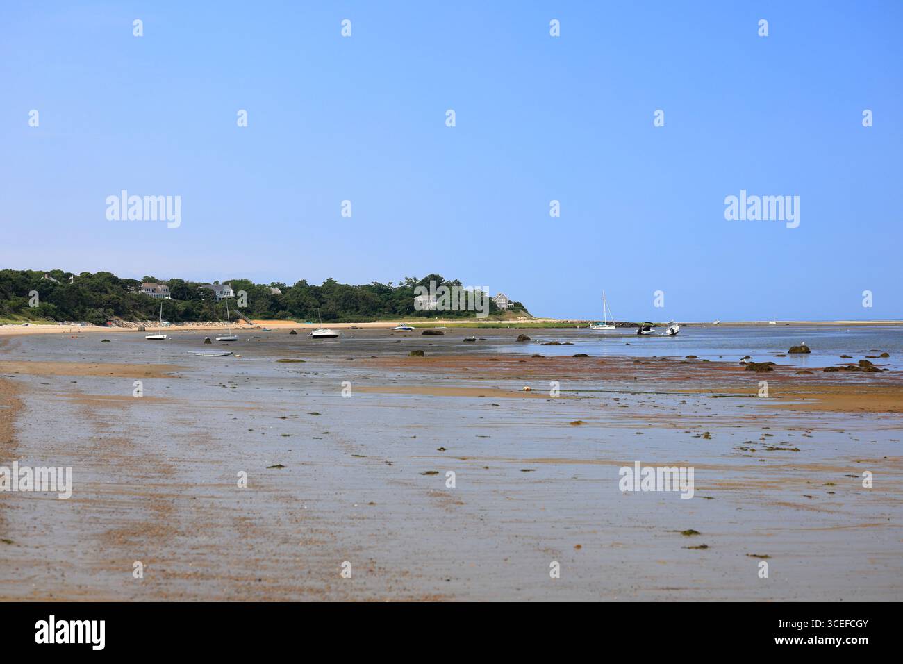 Boote ruhten auf ihren Lorbeeren und hielten sich bei Ebbe in der Cape Cod Bay an ihre Bojen Stockfoto