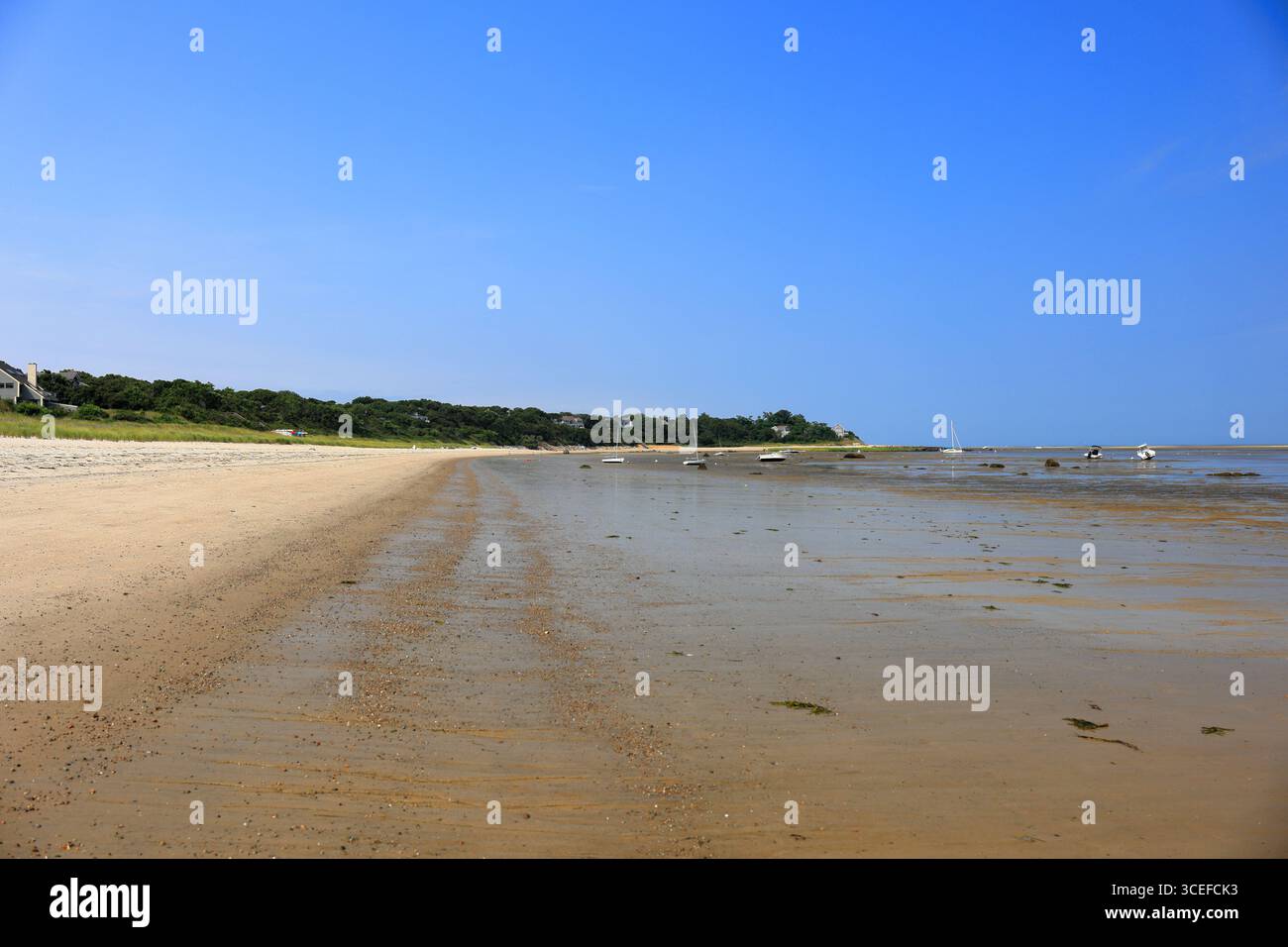 Boote ruhten auf ihren Lorbeeren und hielten sich bei Ebbe in der Cape Cod Bay an ihre Bojen Stockfoto