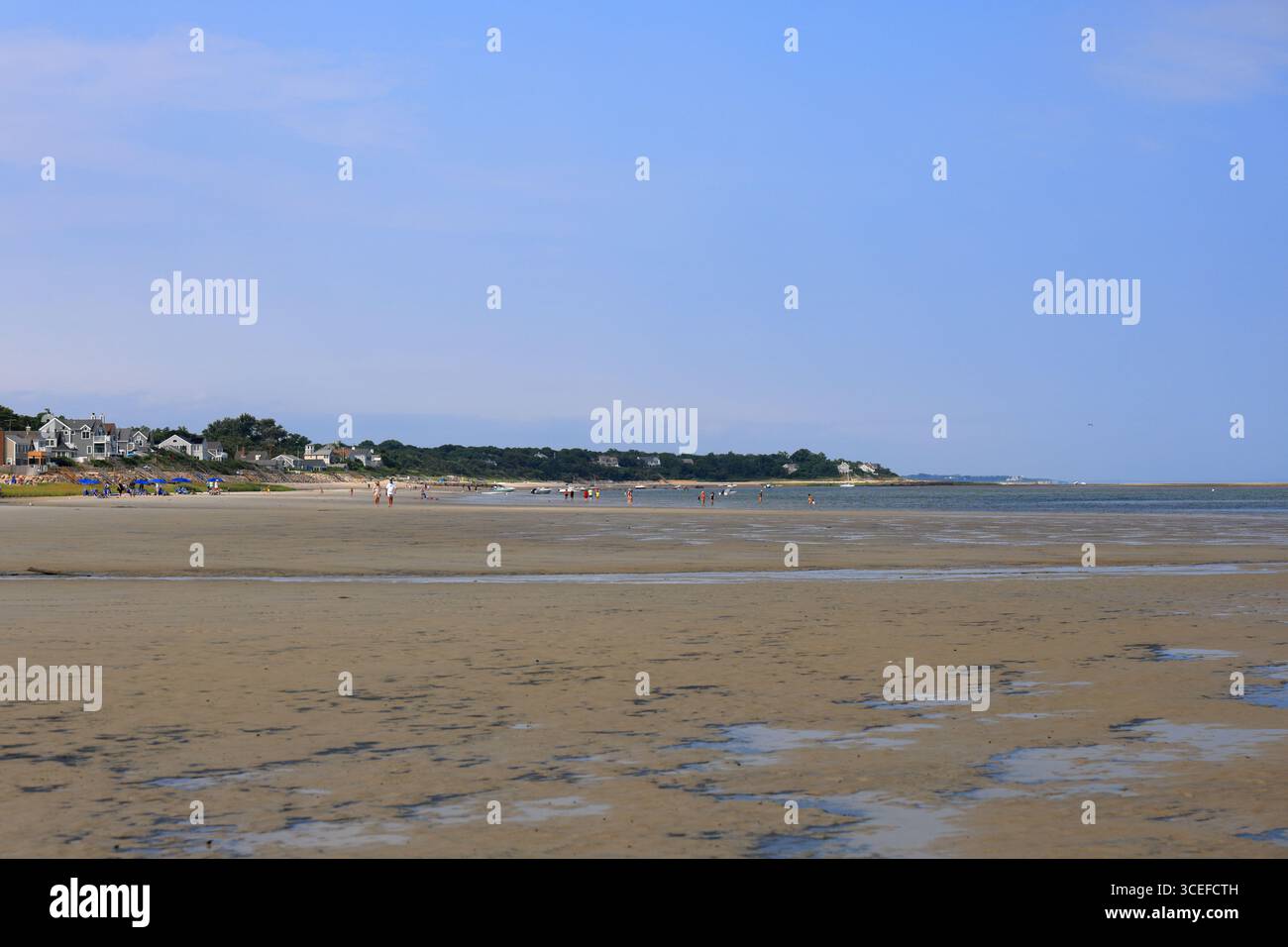 Hyannis, MA, USA - 31. Juli 2025 - Menschen, die bei Ebbe durch die Sandflächen der Cape Cod Bay wandern Stockfoto