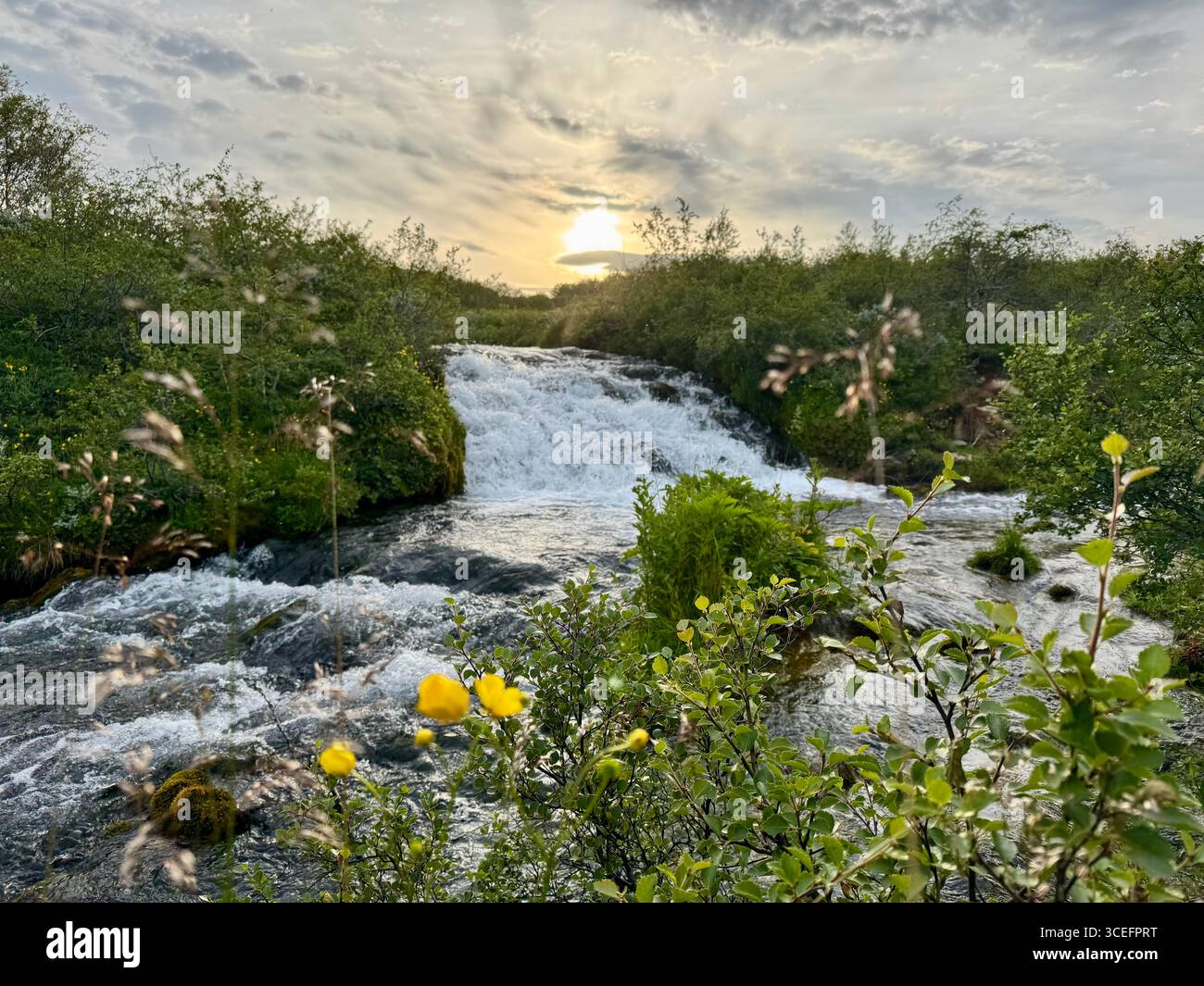 Ein kleiner, aber mächtiger, abgeschiedener Wasserfall stieß abseits der ausgetretenen Pfade in Bláskógabyggð, Süd-Island, auf, der sich unter dem späten Sonnenuntergang erhellte. - Smartphone-aufgenommenes Stockfoto
