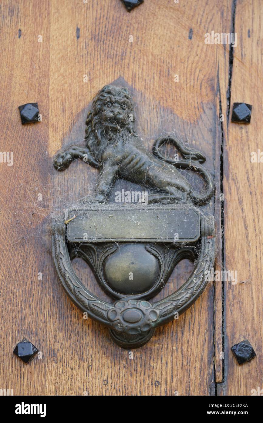 Vintage Lion Messing Türklopfer an Holztür mit Ziernägeln. Broadway, England Stockfoto