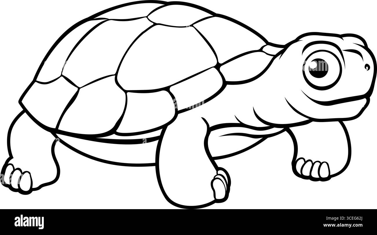 Schildkröte Schildkröte Zeichentrickfilm Tier Illustration Stock Vektor
