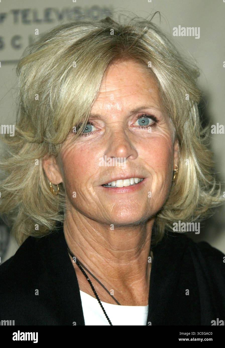 Meredith Baxter beim Muttertag Salute to TV Moms, präsentiert von der Academy of Television Arts and Sciences, gehalten an der Television Academy in North Hollywood, 6. Mai 2008 Stockfoto