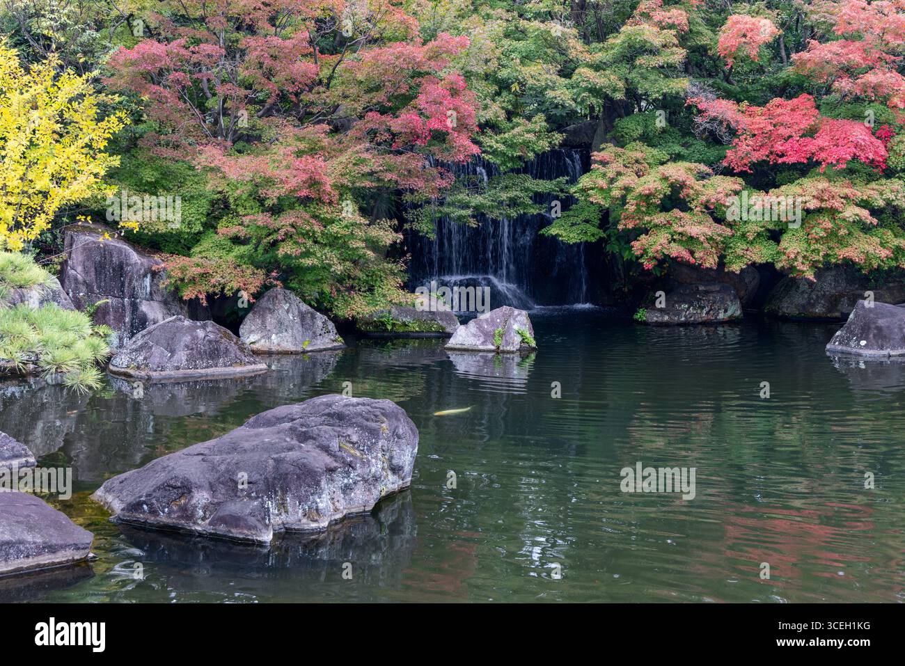 Japanischer Herbstpark mit Wasserfall und Teich, umgeben von Felsen und Bäumen mit farbenfrohen Blättern, die sich in der ruhigen Wasseroberfläche spiegeln Stockfoto